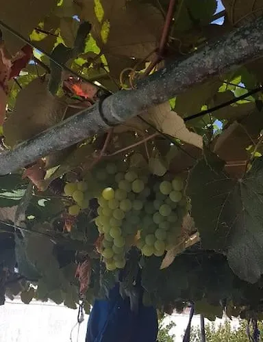 Apartment Casa Sao Pedro - Nova *